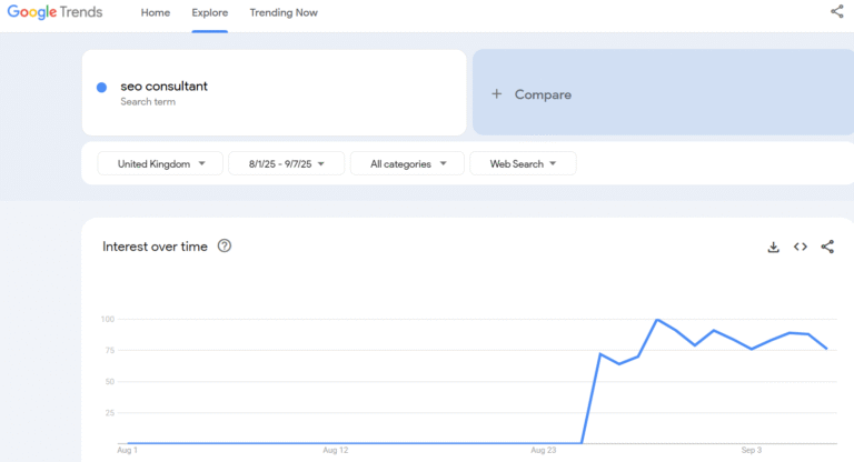 SEO Consultant
